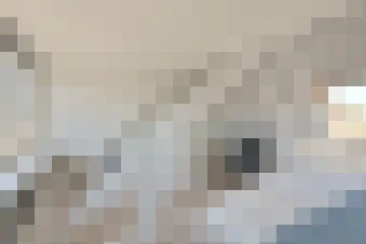 Mezenstraat 16 Hilversum thumbnail 15