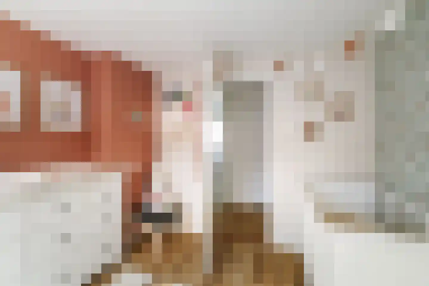 Mezenstraat 19 Brummen thumbnail 11