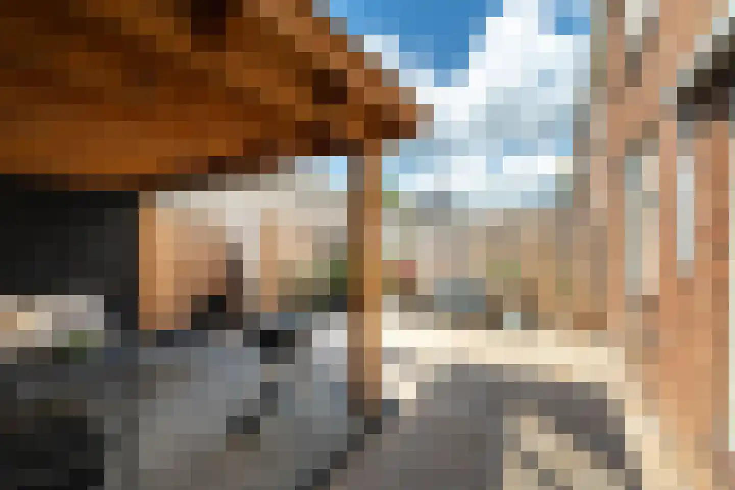 Mezenstraat 19 Brummen thumbnail 19