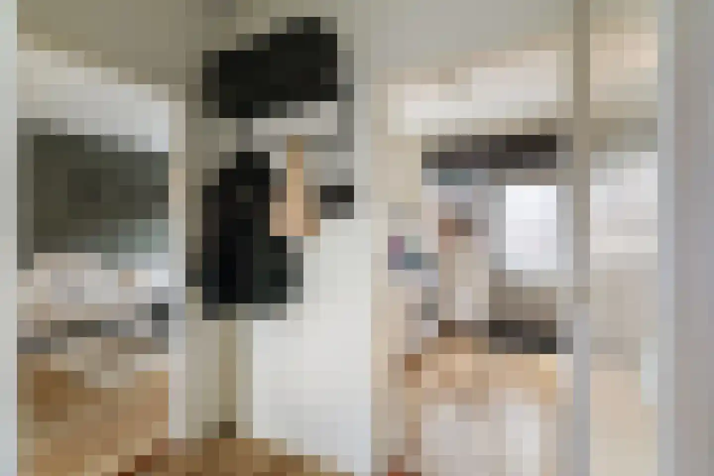 Mezenstraat 19 Brummen thumbnail 4