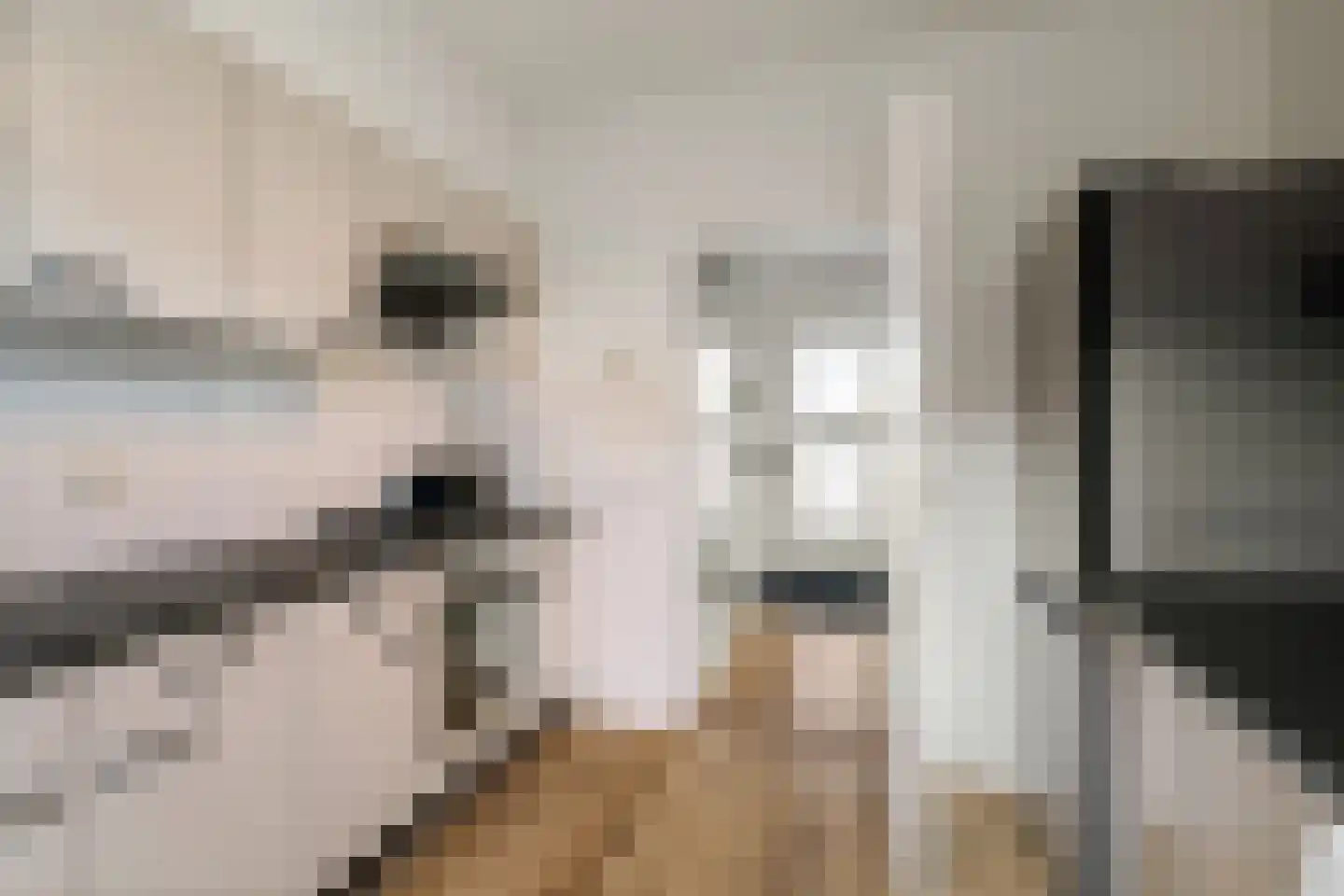 Mezenstraat 19 Brummen thumbnail 6