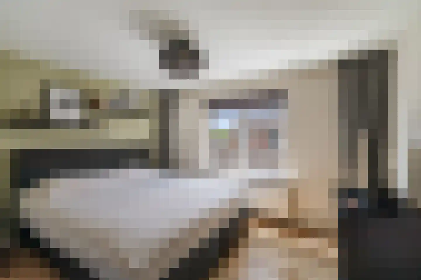 Mezenstraat 19 Brummen thumbnail 8