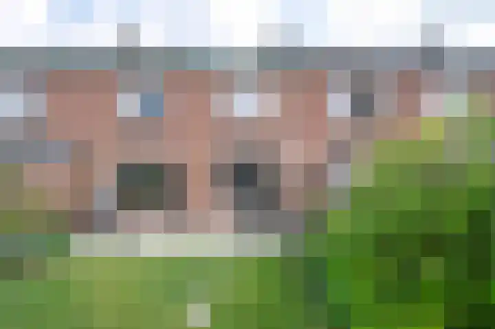 Mezenstraat 21 Brummen thumbnail 18