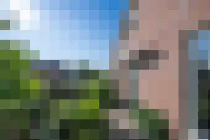 Mezenstraat 21 Brummen thumbnail 21