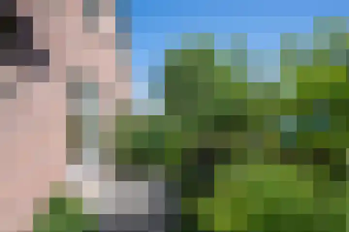 Mezenstraat 21 Brummen thumbnail 22