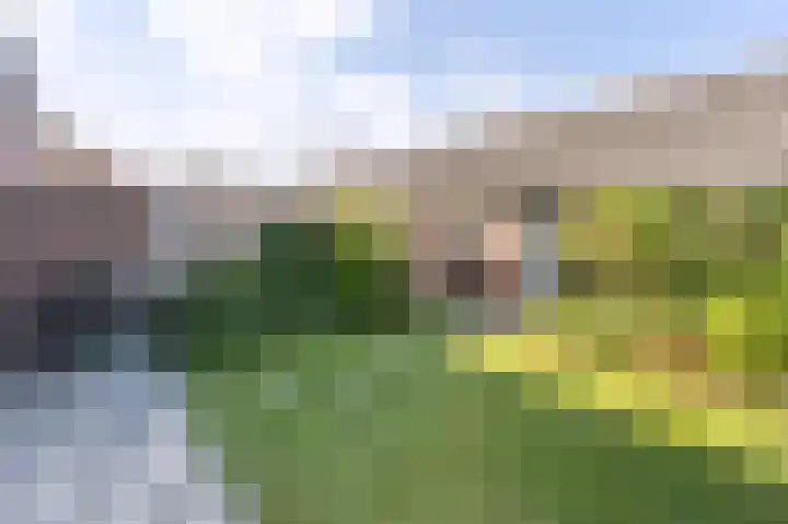 Mezenstraat 21 Brummen thumbnail 4