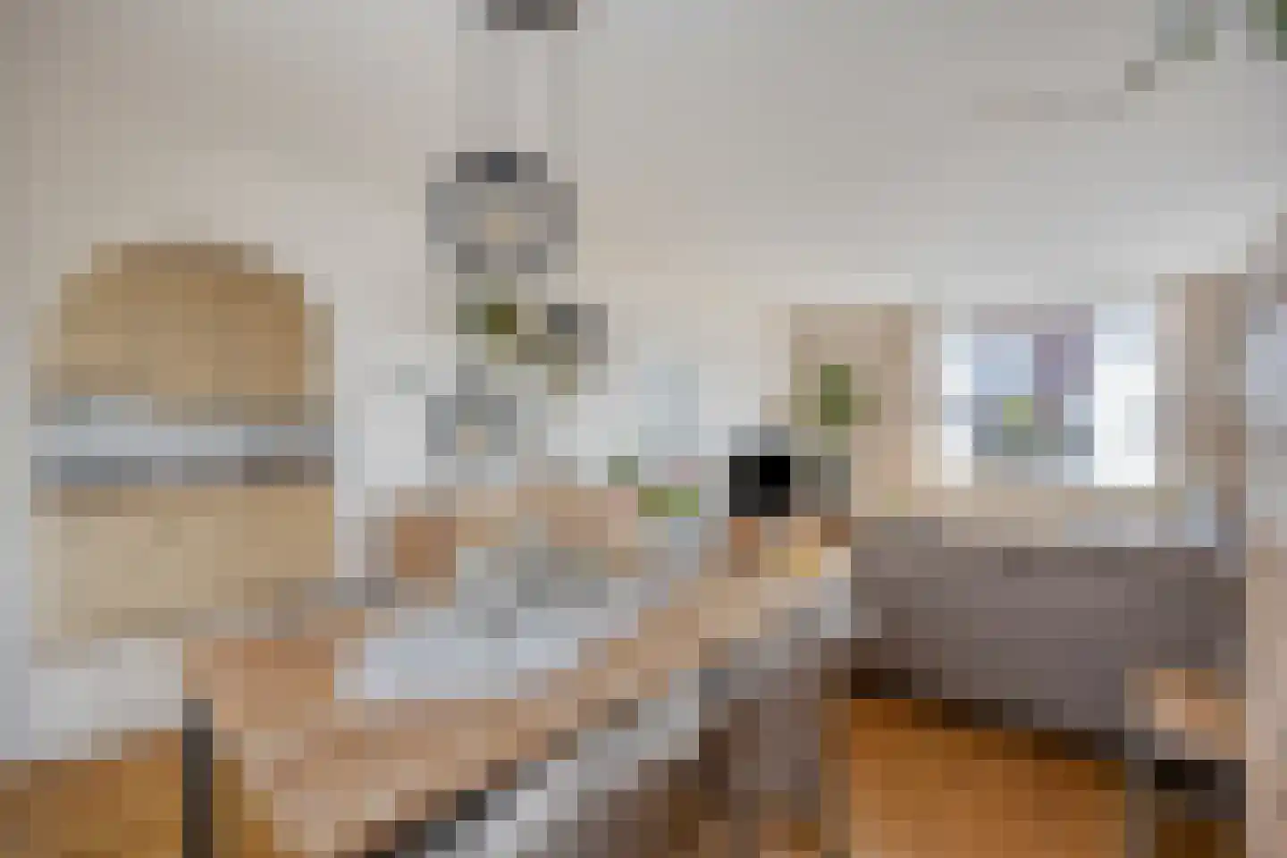 Mezenstraat 24 Heythuysen thumbnail 14