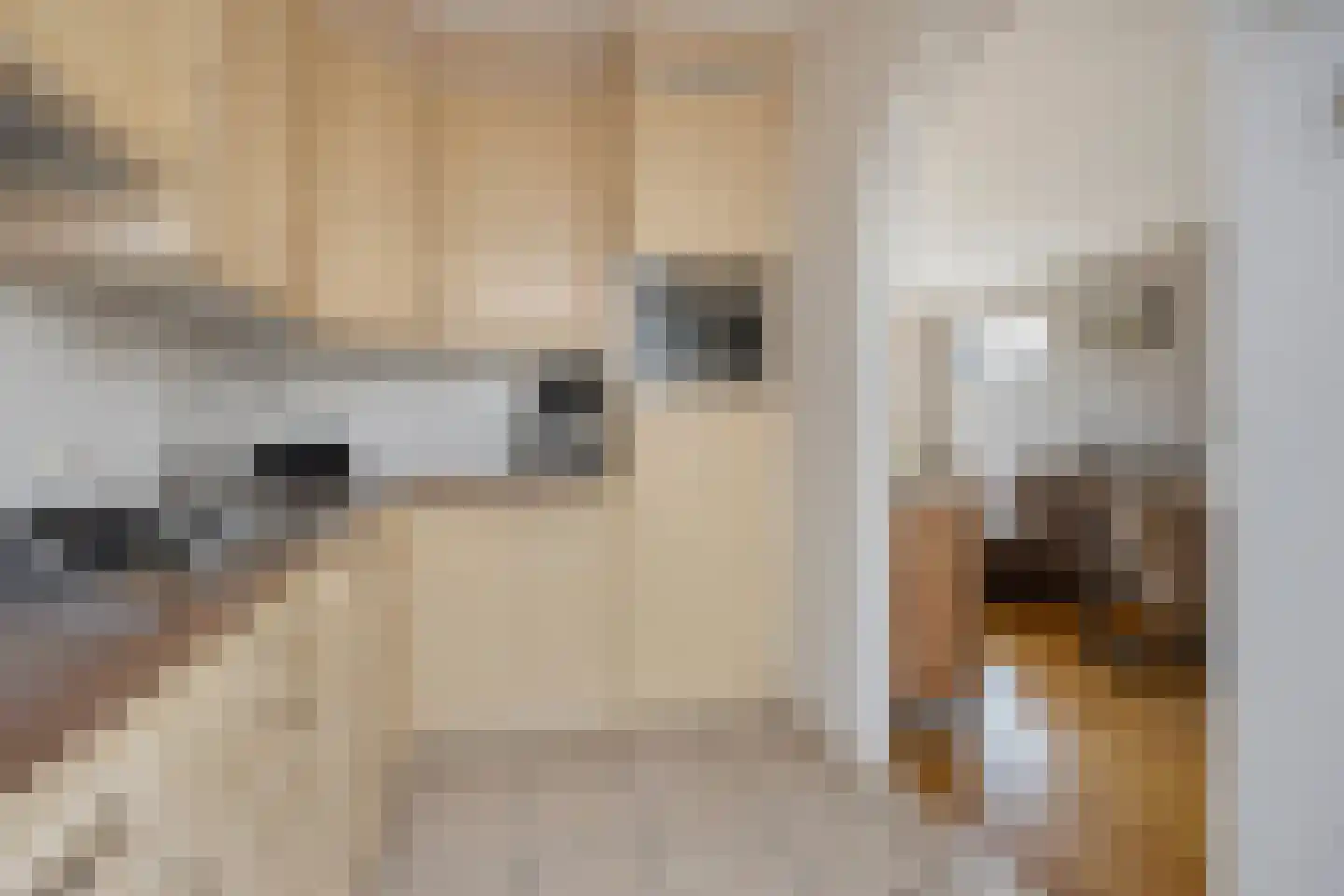 Mezenstraat 24 Heythuysen thumbnail 18