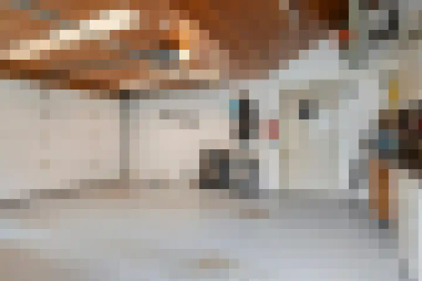 Mezenstraat 24 Heythuysen thumbnail 21
