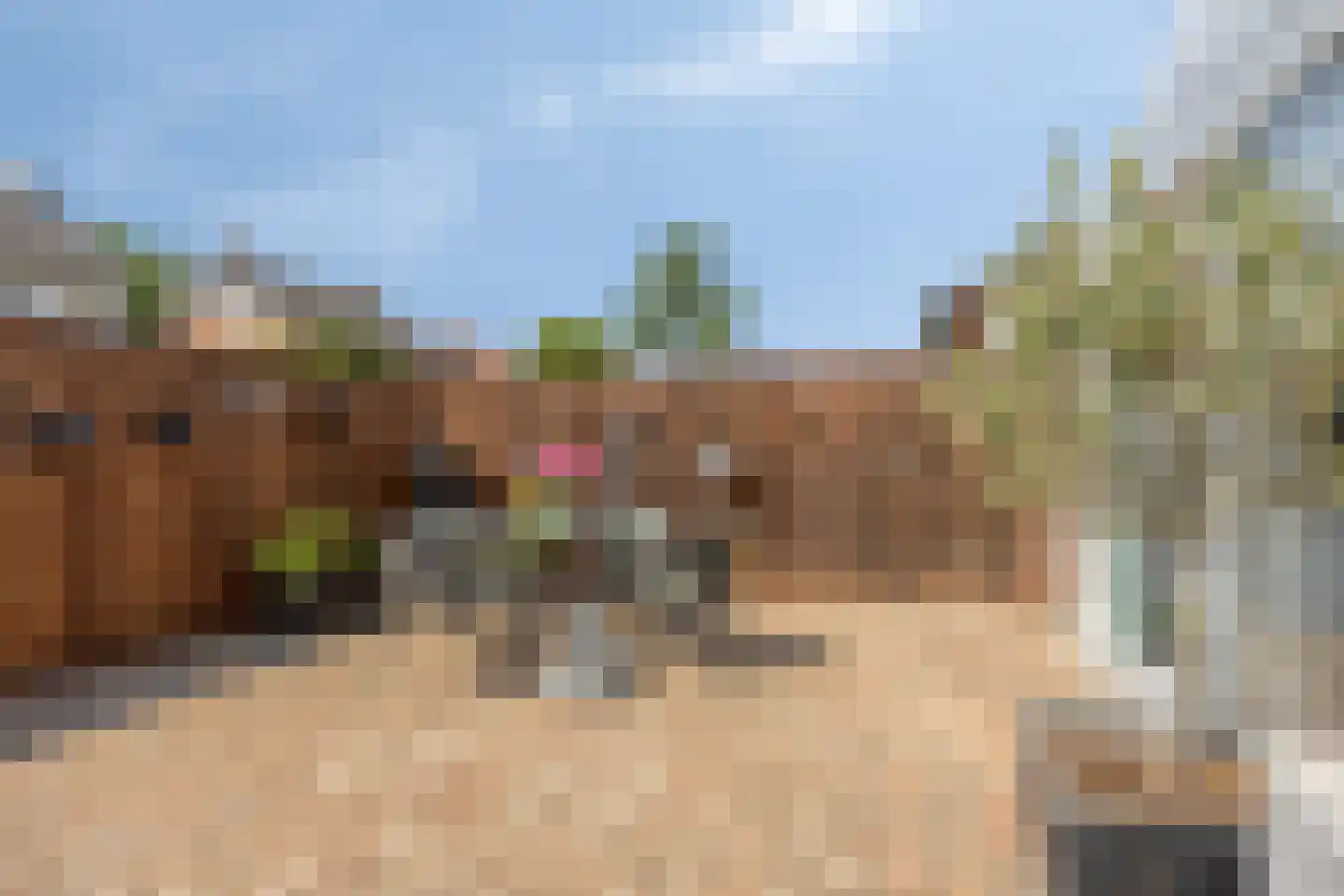 Mezenstraat 24 Heythuysen thumbnail 31