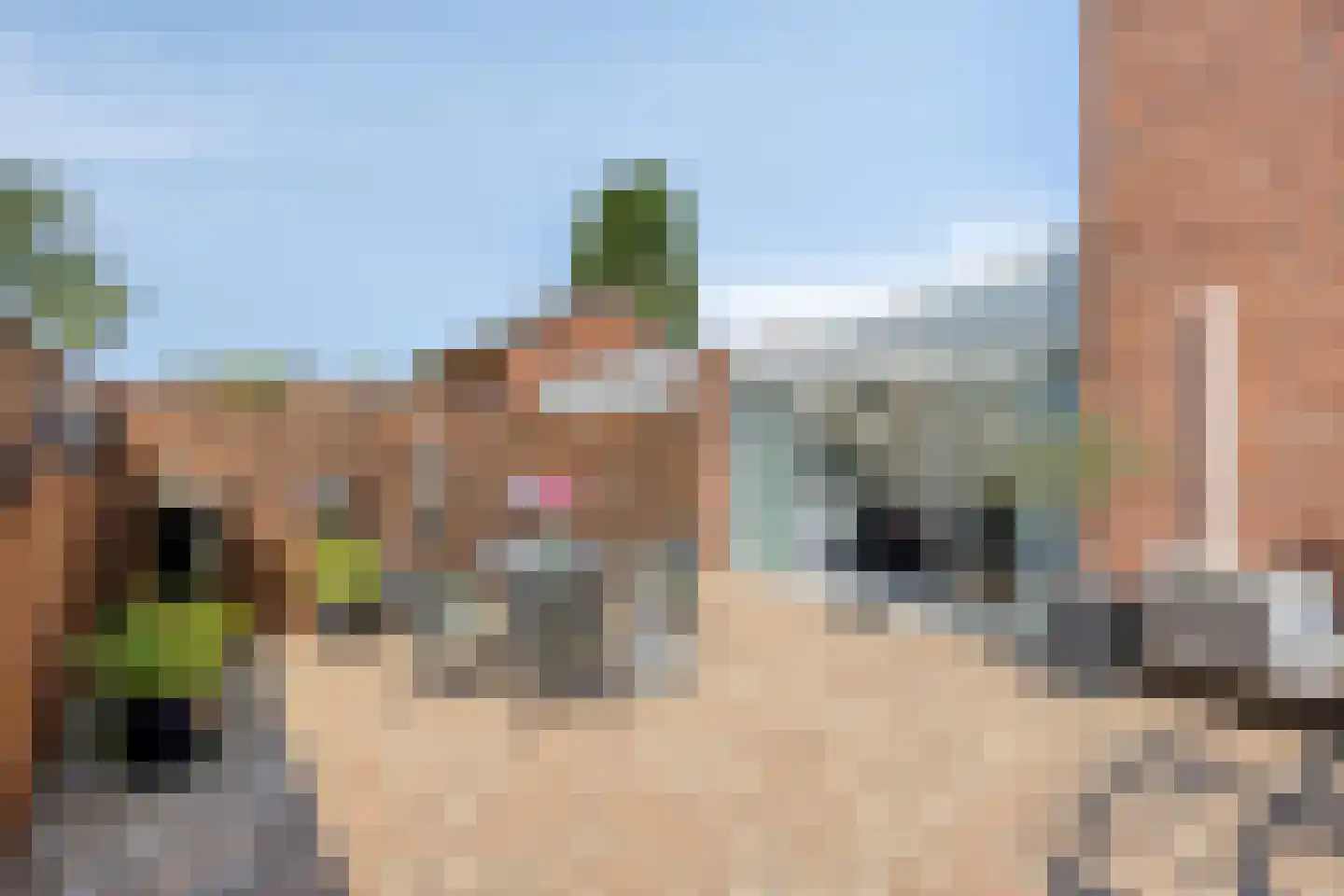 Mezenstraat 24 Heythuysen thumbnail 34