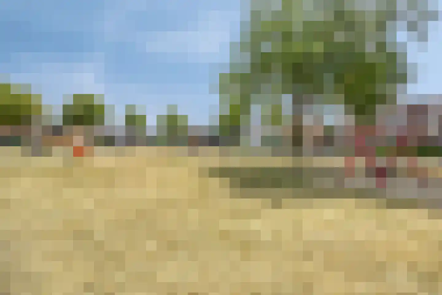 Mezenstraat 24 Heythuysen thumbnail 43