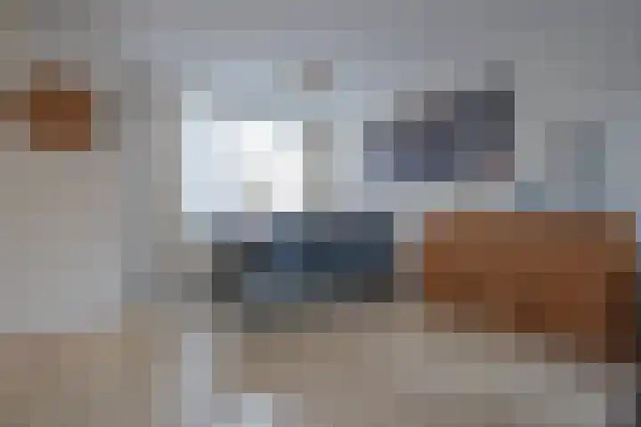 Mezenstraat 3 Heythuysen thumbnail 5