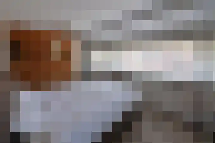 Mezenstraat 34 Hilversum thumbnail 13