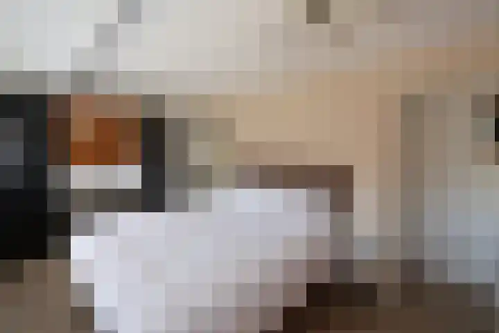 Mezenstraat 34 Hilversum thumbnail 14