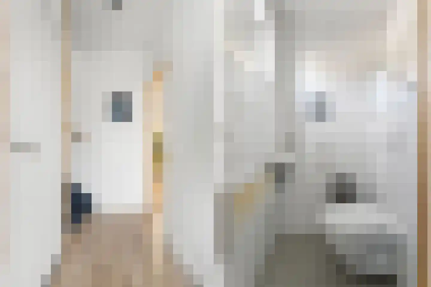 Mezenstraat 37 Geleen thumbnail 15
