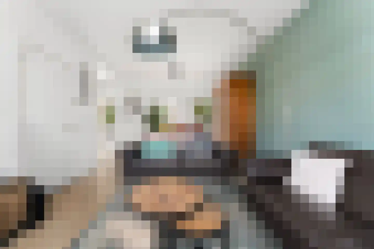 Mezenstraat 37 Geleen thumbnail 5