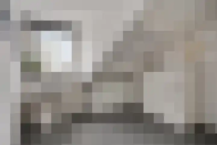 Mezenstraat 5 Oss thumbnail 13