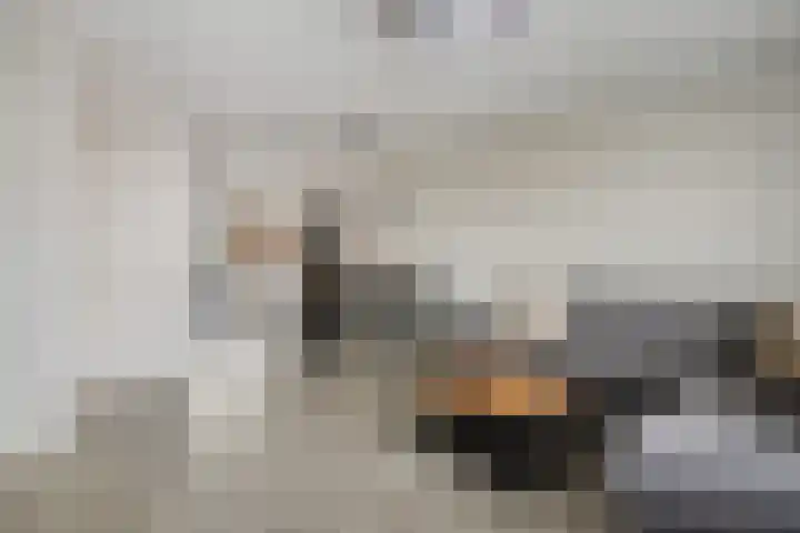 Mezenstraat 5 Oss thumbnail 6