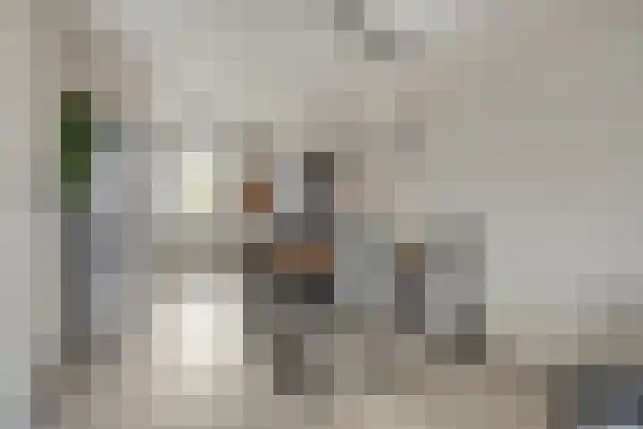 Mezenstraat 5 Oss thumbnail 7