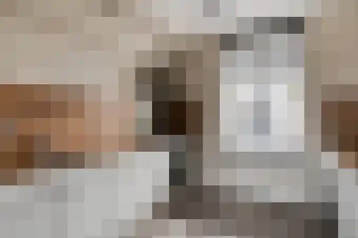 Mezenstraat 5 Oss thumbnail 9