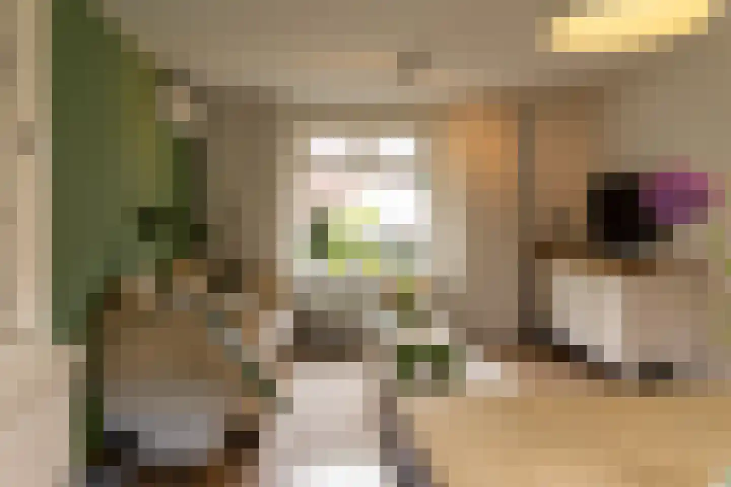 Mezenstraat 7 Gaanderen thumbnail 9