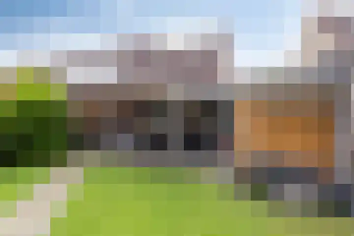 Mezenveld 135 Emmen thumbnail 18