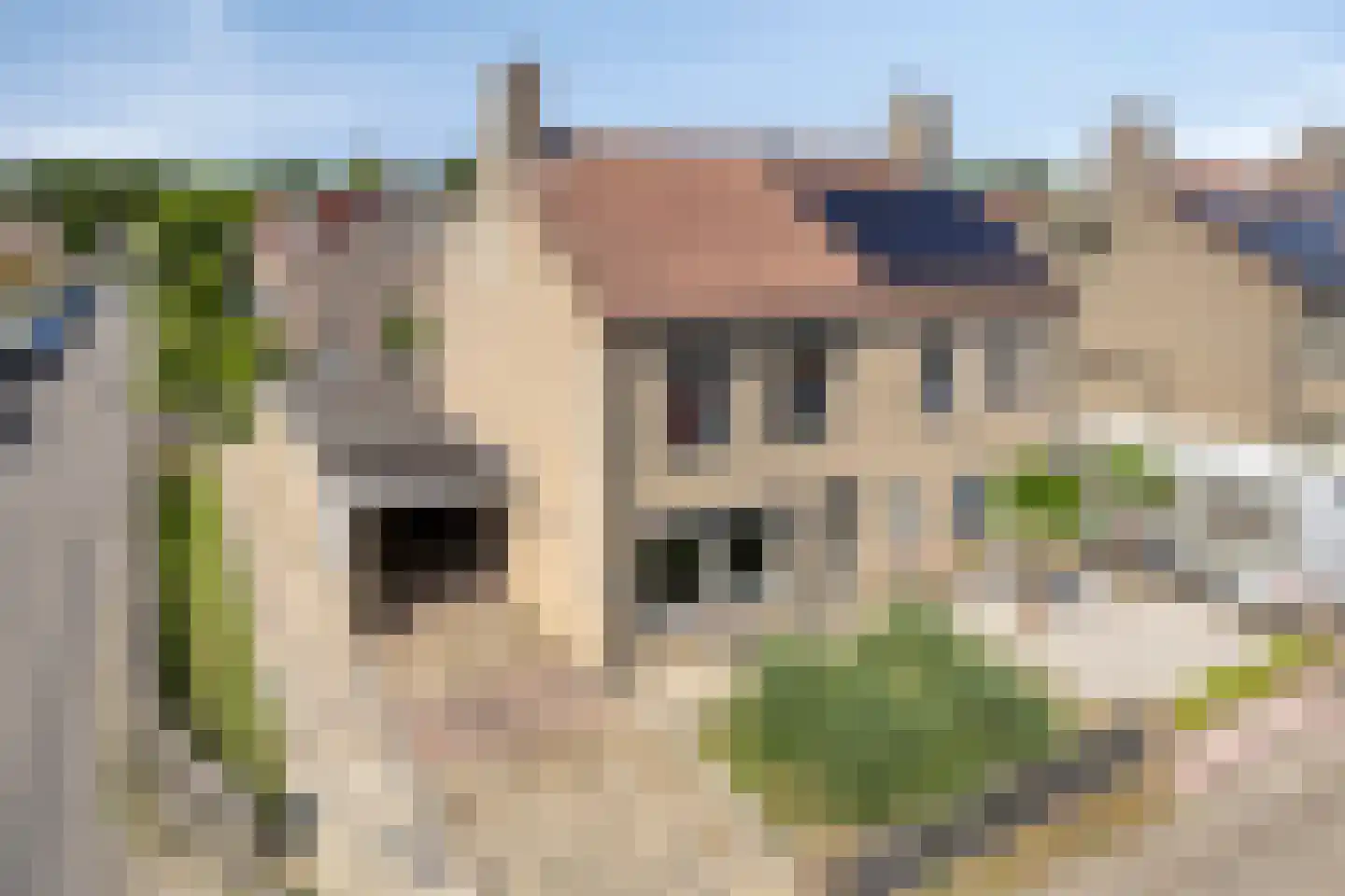 Mezenveld 143 Emmen thumbnail 4