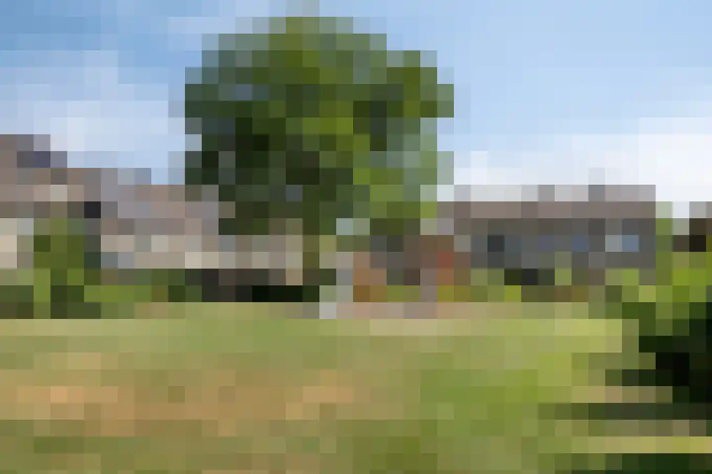 Mezenveld 143 Emmen thumbnail 47