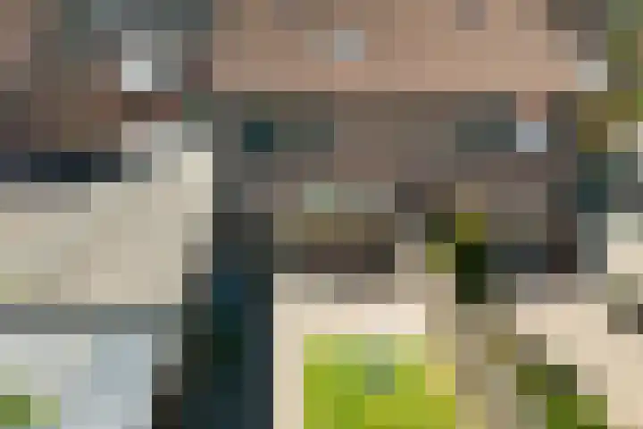 Mezenveld 146 Emmen thumbnail 27