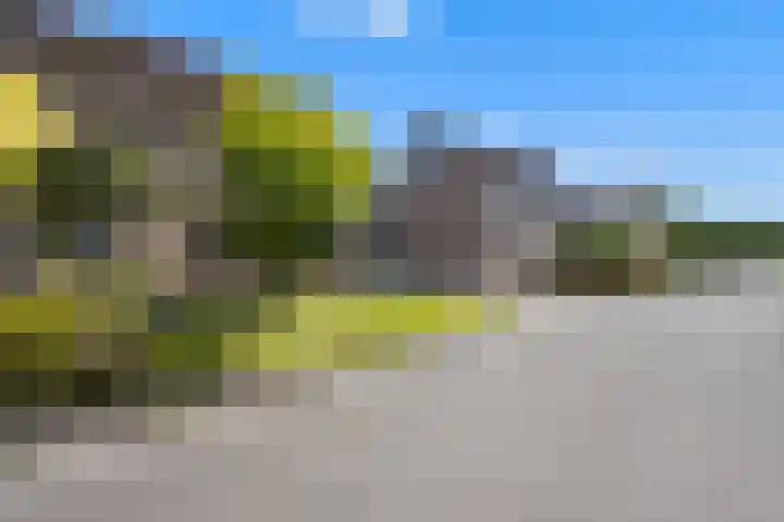 Mezenveld 146 Emmen thumbnail 36