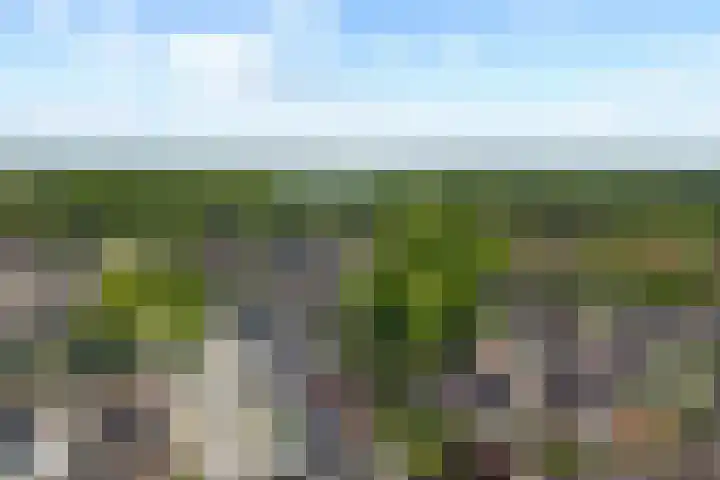Mezenveld 146 Emmen thumbnail 38