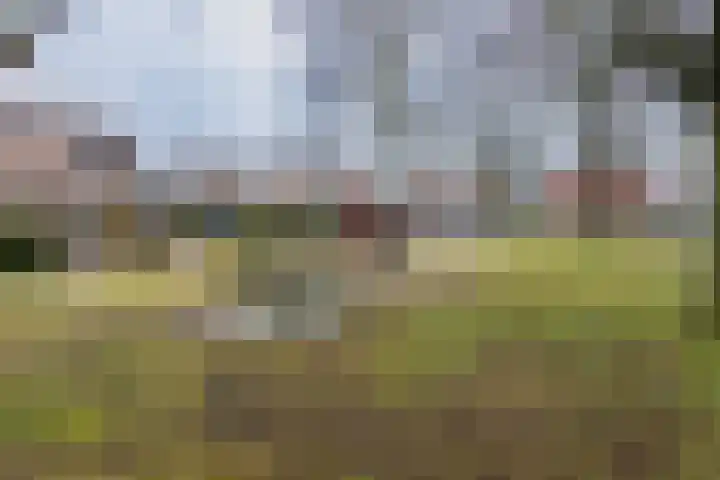 Mezenveld 156 Emmen thumbnail 32