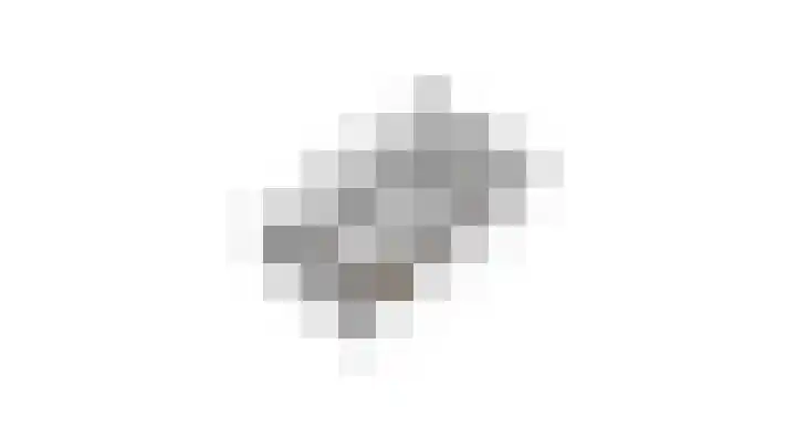 Mezenveld 156 Emmen thumbnail 37