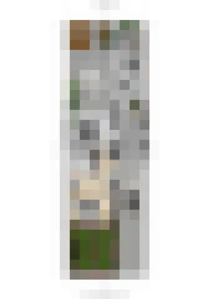 Mezenveld 156 Emmen thumbnail 44