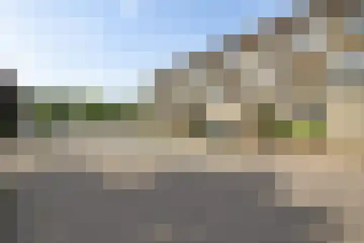 Mezenveld 73 Emmen thumbnail 21
