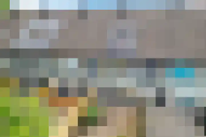 Mezenveld 73 Emmen thumbnail 27