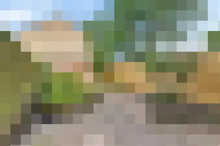 Mezenveld 73 Emmen thumbnail 29
