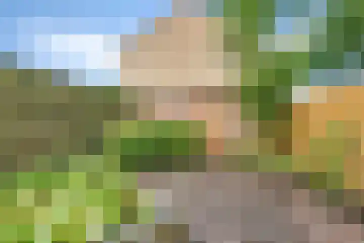 Mezenveld 73 Emmen thumbnail 30