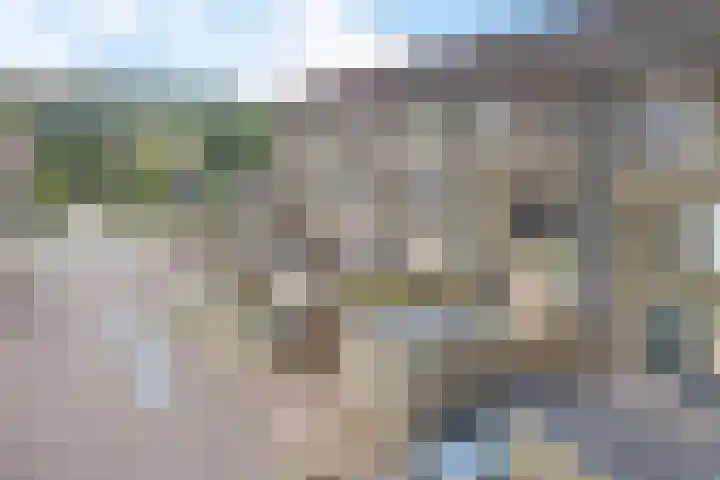 Mezenveld 73 Emmen thumbnail 32