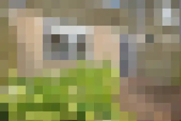 Mezenveld 73 Emmen thumbnail 4