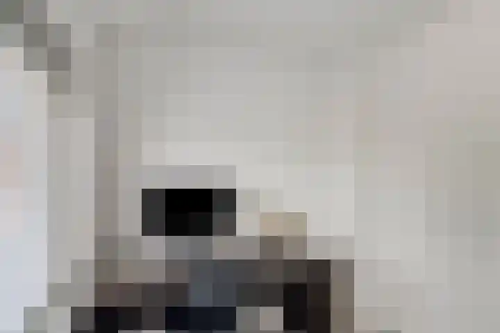 Mezenweg 18 Wapenveld thumbnail 17