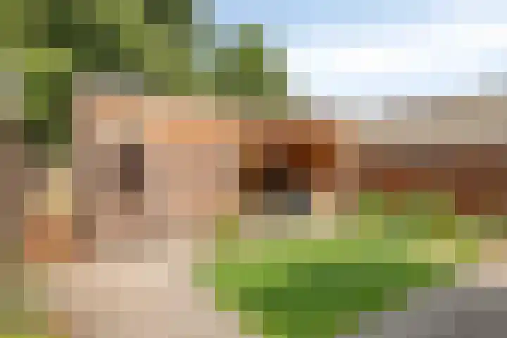 Mezenweg 18 Wapenveld thumbnail 18