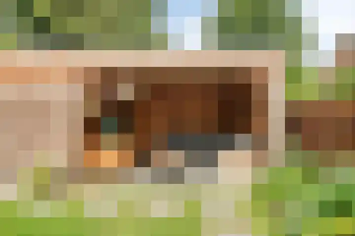 Mezenweg 18 Wapenveld thumbnail 19