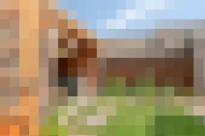 Mezenweg 18 Wapenveld thumbnail 22