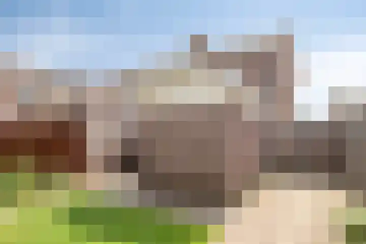 Mezenweg 18 Wapenveld thumbnail 24