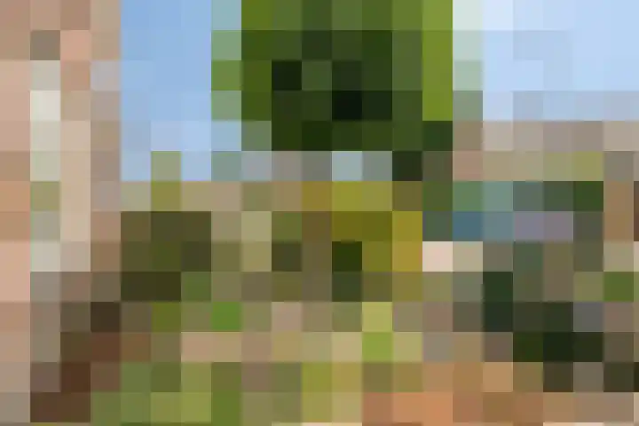 Mezenweg 18 Wapenveld thumbnail 25