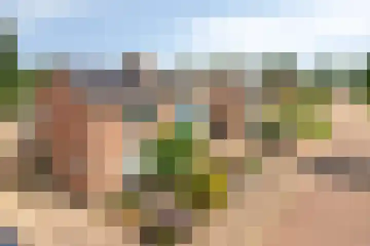Mezenweg 18 Wapenveld thumbnail 27