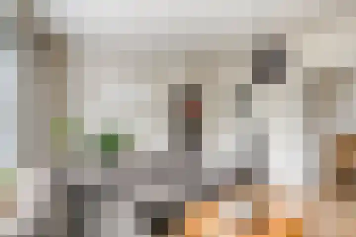 Mezenweg 18 Wapenveld thumbnail 4