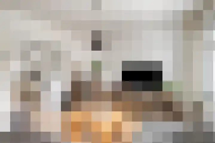 Mezenweg 18 Wapenveld thumbnail 6